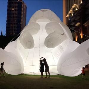 Meet your Posher, Daisy